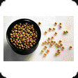 soybean.gif (4593 bytes)