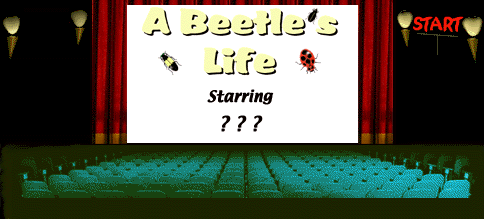 A Beetle's Life