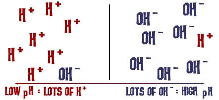 Ions and pH Levels