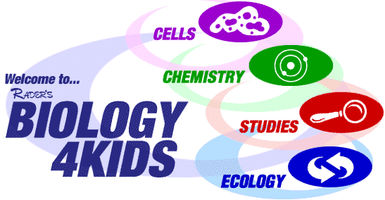 [Imagemap:Biology4Kids Main Menu.  There are four active circles, each leading to a different section of the site.]